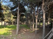 Сдаётся  участок 52 сот, пос. Биладжары, photo 8 from 8