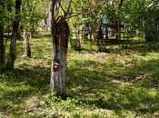 Продаётся  участок 40 сот, photo 5 from 8