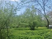 Участок - Габала - 7 сот
