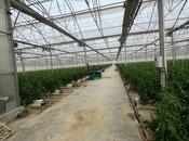 Продаётся  объект 25 000 м², пос. Мамедли, photo 7 from 8