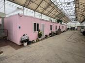 Obyekt - Məmmədli q. - 25000 m²