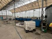 Продаётся  объект 25 000 м², пос. Мамедли, photo 8 from 8