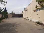 Сдаётся  объект 1 000 м², photo 5 from 7