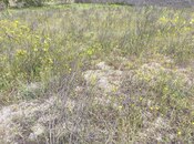 Продаётся  участок 2 сот, пос. Новханы, photo 7 from 8