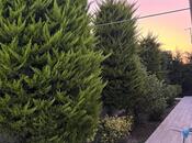 İcarəyə verilir 3 otaqlı həyət evi/bağ evi 150 m², Mərdəkan q., photo 7 from 8