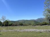 Участок - Габала - 75 сот
