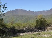 Участок - Габала - 75 сот