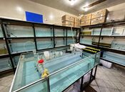 Объект - м. Нефтчиляр - 65 м²