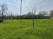 Torpaq - Qəbələ - 65.9 sot