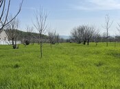 Torpaq - Qəbələ - 65.9 sot