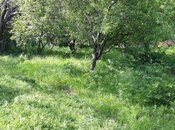7 otaqlı həyət evi/bağ evi - İsmayıllı - 224 m²