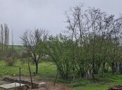 Участок - Гусар - 12 сот