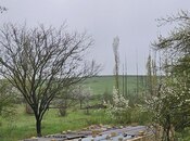 Участок - Гусар - 12 сот