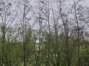 Участок - Гусар - 12 сот