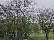 Участок - Гусар - 12 сот