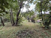 Участок - Габала - 30 сот