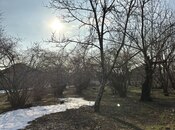 Участок - Габала - 30 сот