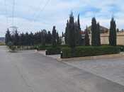 Elan №6084468 - Bakı, Buzovna q., 10 sot