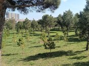 2 otaqlı yeni tikili - Həzi Aslanov m. - 55 m²