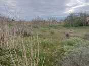 Satılır  torpaq 14 sot, Nardaran q., photo 3 from 5