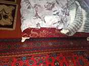 İcarəyə verilir 2 otaqlı köhnə tikili 40 m², Nizami m., photo 8 from 8