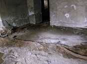 Продаётся  объект 99 м², м. Сахил, photo 1 from 8