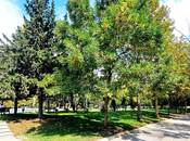 Satılır 4 otaqlı yeni tikili 180 m², Nəsimi r., photo 6 from 8