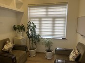 4 otaqlı ofis - Şah İsmayıl Xətai m. - 80 m²