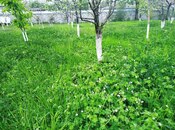 Продаётся  участок 5 сот, photo 6 from 6