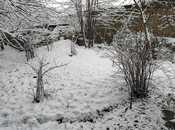 Продаётся 3-комн. дом/дача 80.1 м², photo 6 from 8
