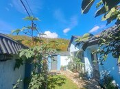 3 otaqlı həyət evi/bağ evi - Qusar - 70 m²