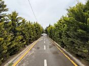 Участок - пос. Шувеляны - 6 сот