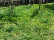 3 otaqlı həyət evi/bağ evi - Qax - 50 m²