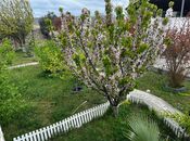 4 otaqlı həyət evi/bağ evi - Balaxanı q. - 120 m²