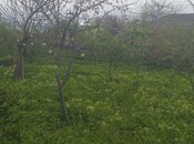 Участок - Исмаиллы - 8 сот