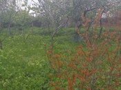 Участок - Исмаиллы - 8 сот