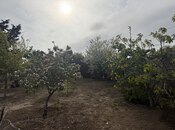 Участок - пос. Нардаран - 3.5 сот