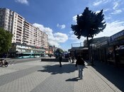 Сдаётся  объект 25 м², м. Ахмедлы, photo 5 from 5