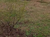 Участок - Шеки - 38 сот