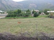Участок - Шеки - 12 сот