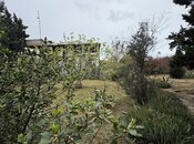 Продаётся  участок 25 сот, пос. Шувеляны, photo 4 from 5