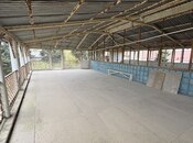 Продаётся  участок 25 сот, пос. Шувеляны, photo 3 from 5