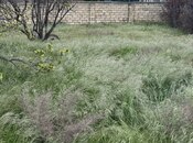 Продаётся  участок 4 сот, пос. Горадил, photo 5 from 6
