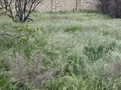 Продаётся  участок 4 сот, пос. Горадил, photo 2 from 6