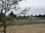 Продаётся  участок 4 сот, пос. Горадил, photo 6 from 6