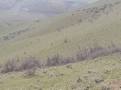 Torpaq - Şabran - 100 sot