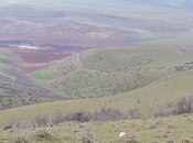 Torpaq - Şabran - 100 sot