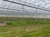 Продаётся  объект 74 000 м², пос. Зире, photo 7 from 8