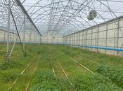Продаётся  объект 74 000 м², пос. Зире, photo 5 from 8
