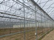 Продаётся  объект 74 000 м², пос. Зире, photo 6 from 8
